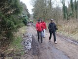 Bosloop Brecht - 21.jpg